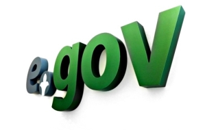 В 2013 году через портал е-правительства было оказано порядка 38 млн услуг 
