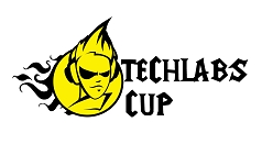 Анонс: TECHLABS CUP 2012