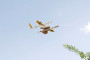 Google запустила сервис доставки еды и товаров при помощи дронов