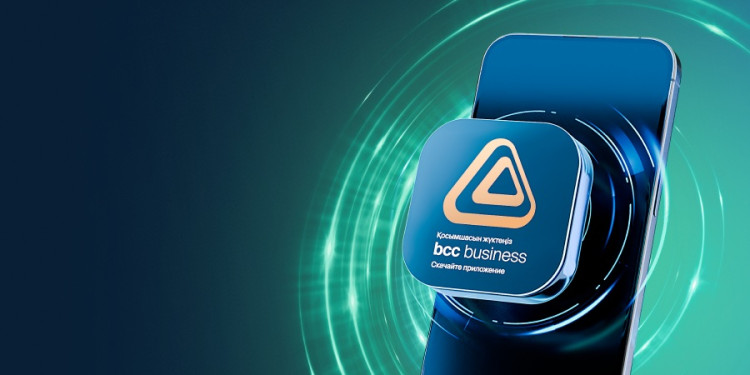 Экосистема для бизнеса: обзор bcc business