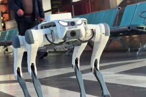 Робота-пса при исполнении показала полиция Астаны