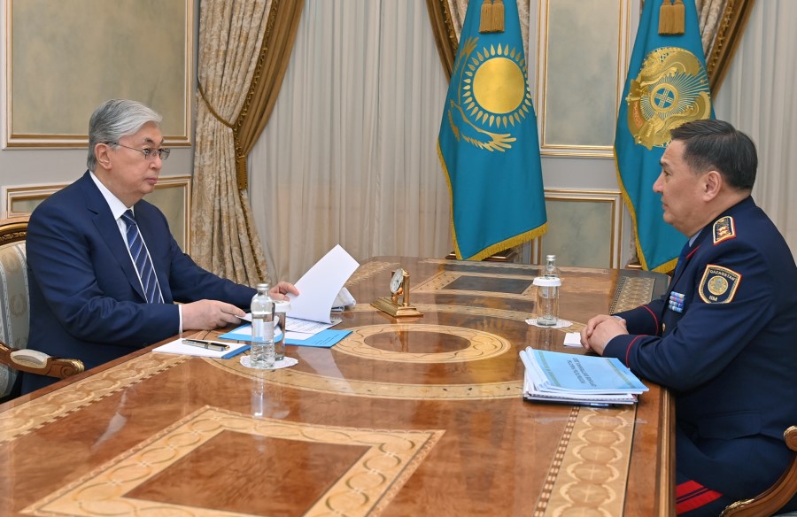 Глава государства принял министра внутренних дел Марата Ахметжанова.
