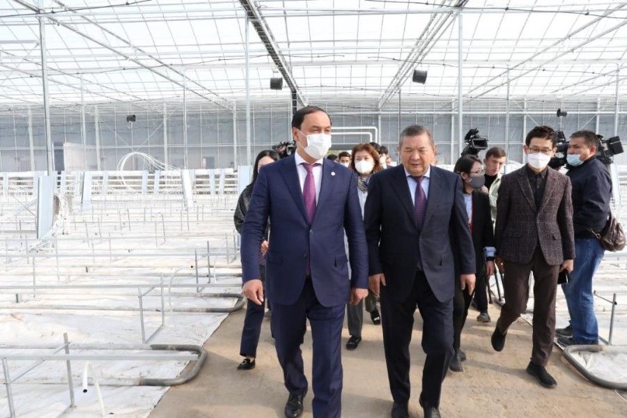 «Умную теплицу» открыли Казахстан и Республика Корея