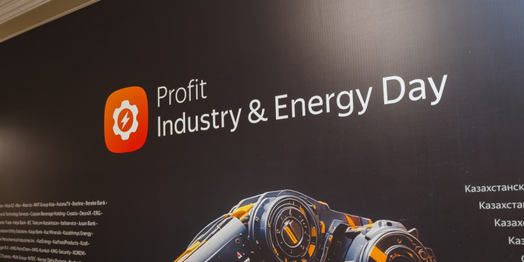 Profit Industry & Energy Day 2025